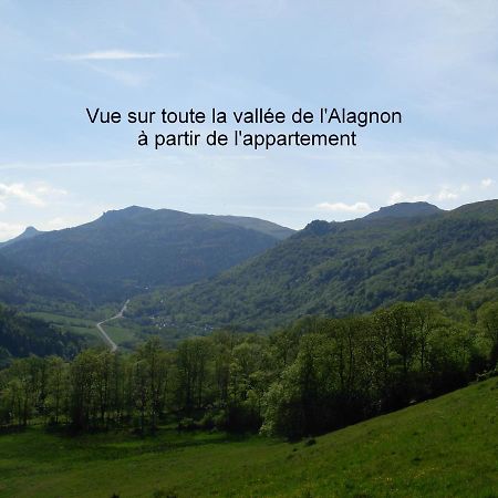 Laveissière Vacances Au Pied Des Monts Du Cantal מראה חיצוני תמונה