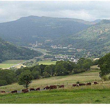 Laveissière Vacances Au Pied Des Monts Du Cantal מראה חיצוני תמונה