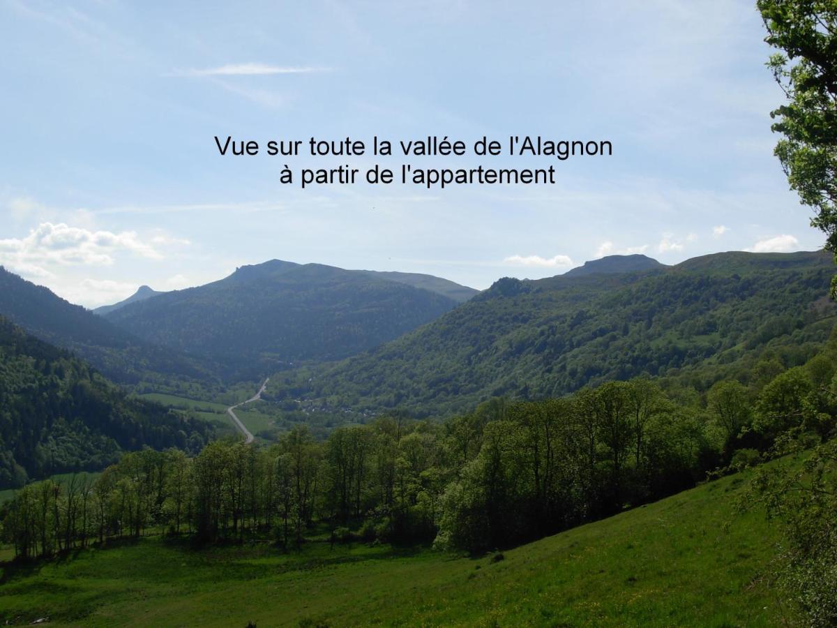 Laveissière Vacances Au Pied Des Monts Du Cantal מראה חיצוני תמונה