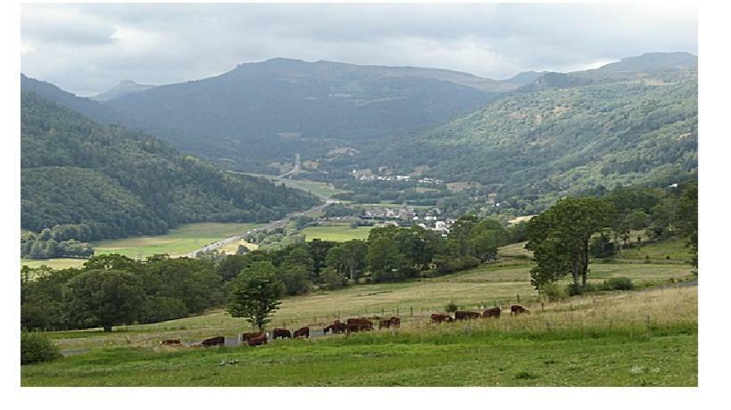 Laveissière Vacances Au Pied Des Monts Du Cantal מראה חיצוני תמונה