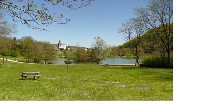 Laveissière Vacances Au Pied Des Monts Du Cantal מראה חיצוני תמונה