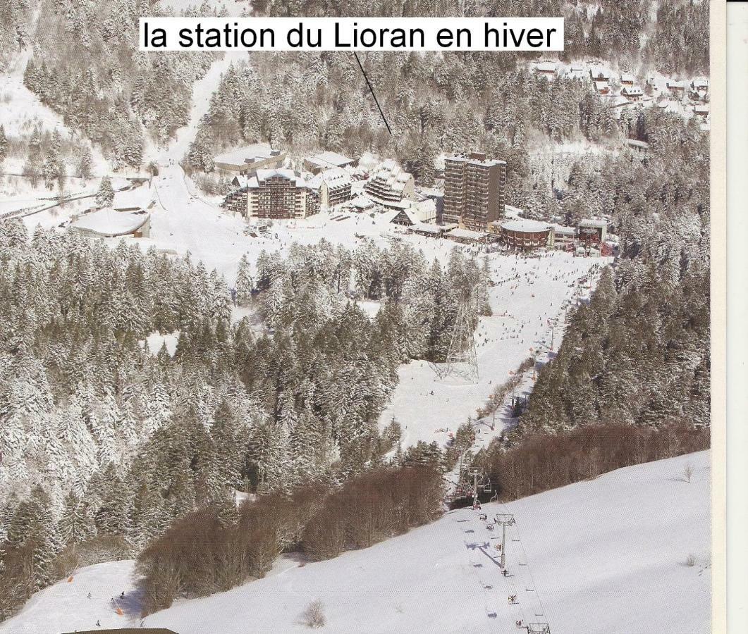 Laveissière Vacances Au Pied Des Monts Du Cantal מראה חיצוני תמונה