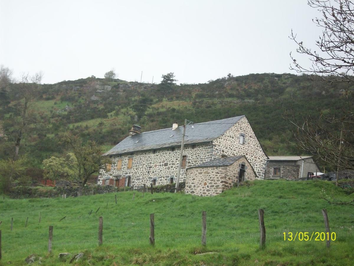 Laveissière Vacances Au Pied Des Monts Du Cantal מראה חיצוני תמונה