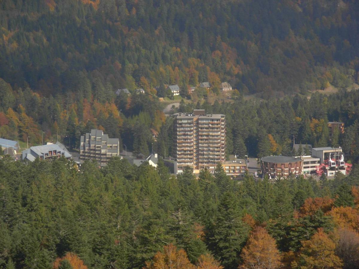 Laveissière Vacances Au Pied Des Monts Du Cantal מראה חיצוני תמונה