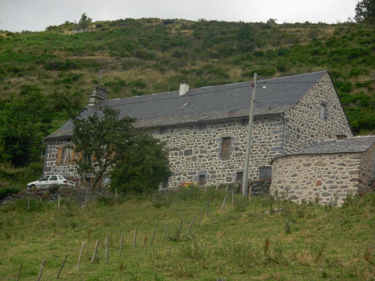 Laveissière Vacances Au Pied Des Monts Du Cantal מראה חיצוני תמונה